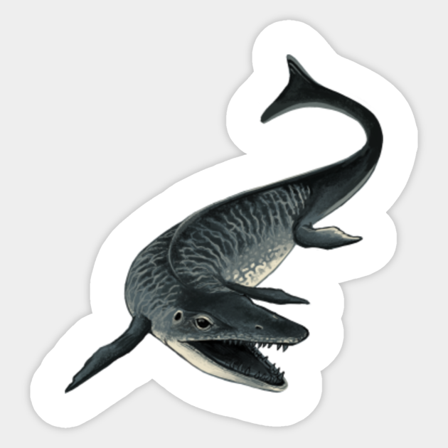 small mosasaurus